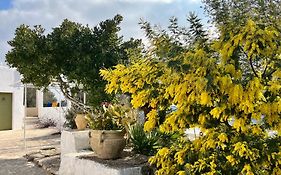 Syconium Trullo And Lamia Gea Charme And History